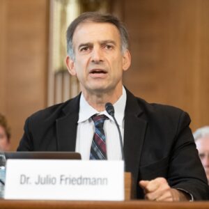 Julio Friedmann