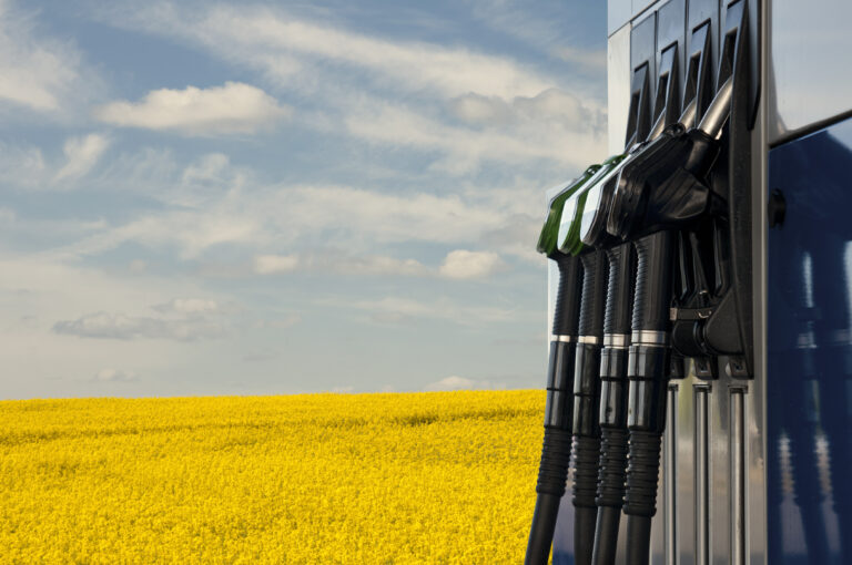 Reforming the Renewable Fuel Standard