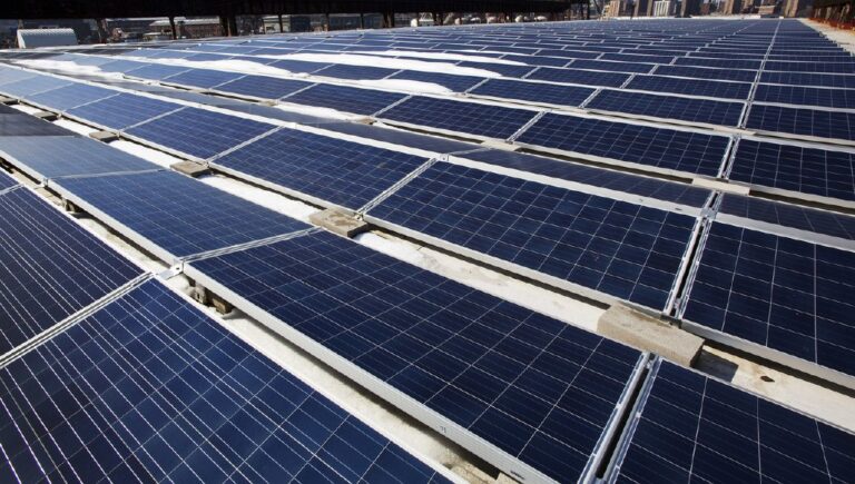 Trump's Solar Tariffs Create Far More Losers Than Winners