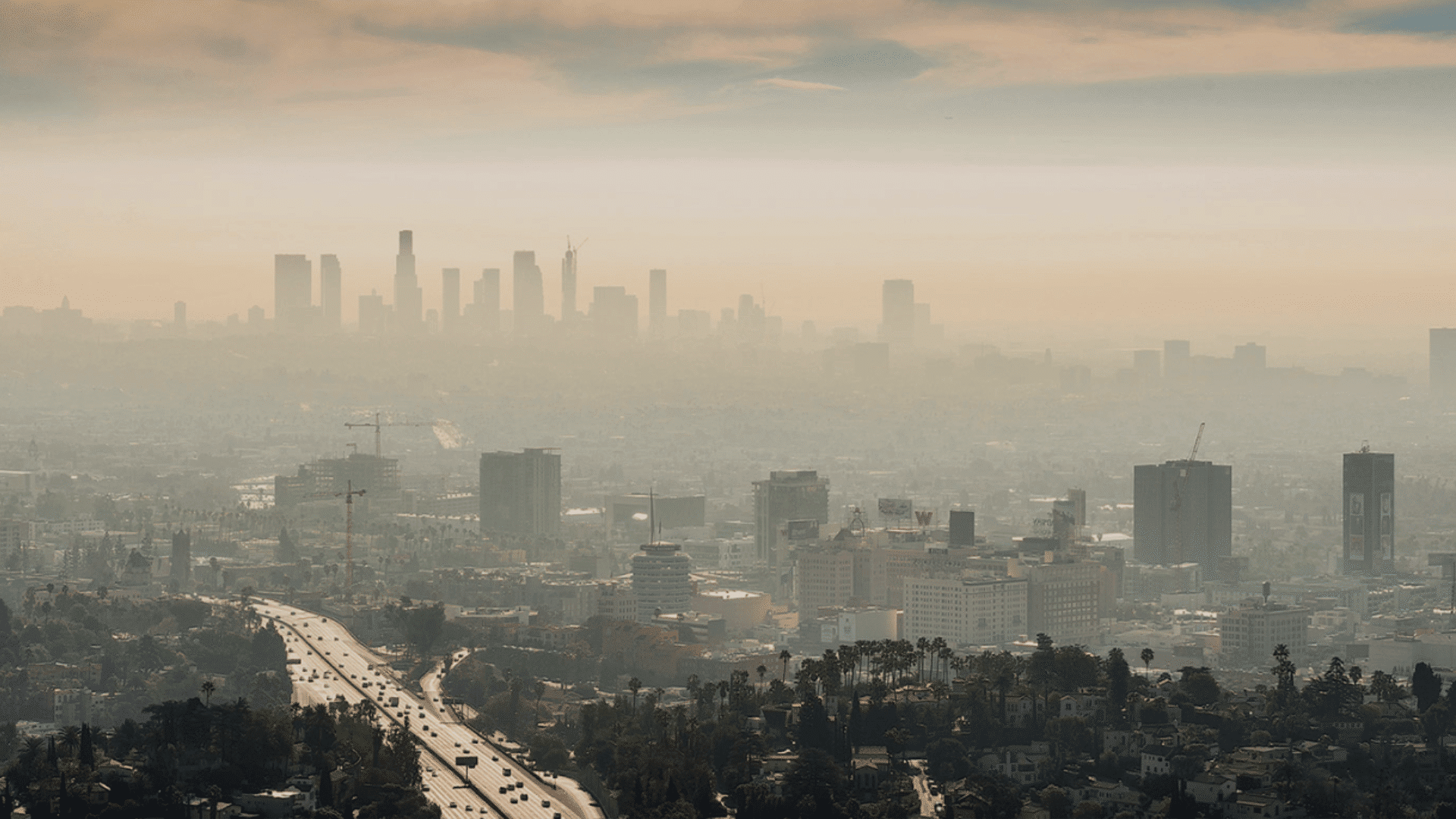 Should the Inflation Reduction Act End the Dream of a National Carbon Price?