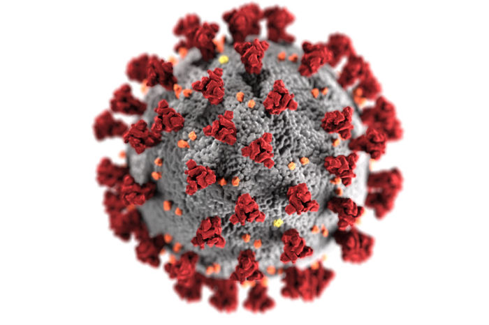 Understanding the Energy Impacts of the Coronavirus