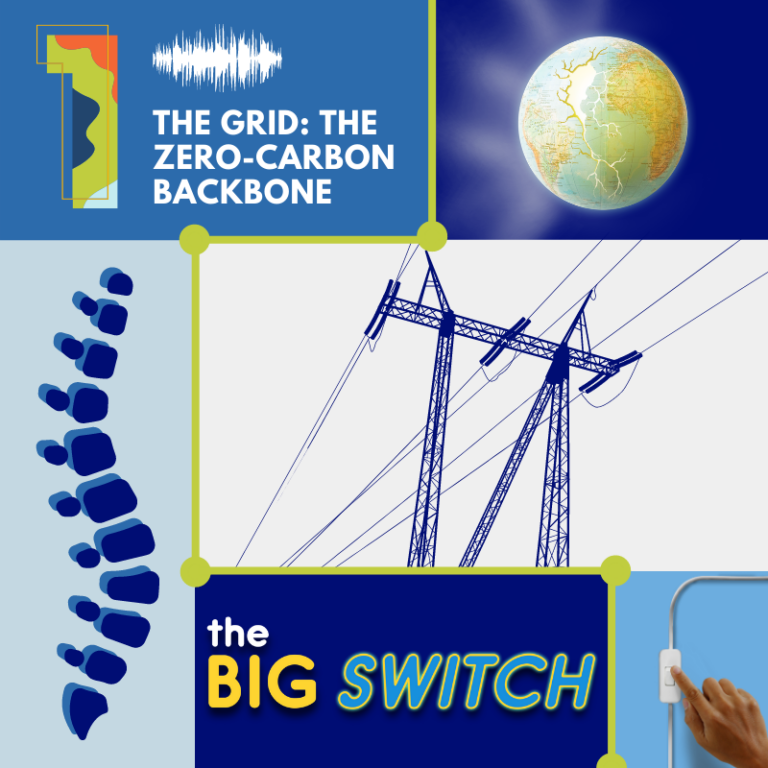 The Zero-Carbon Backbone