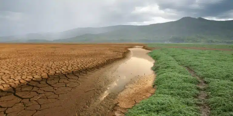 Imagining climate resilient futures: A layered Delphi panel approach