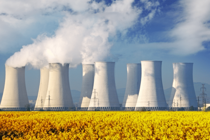 [Cancelled] Can Nuclear Power Be On Time and On Budget: A Discussion of Nuclear Power Construction