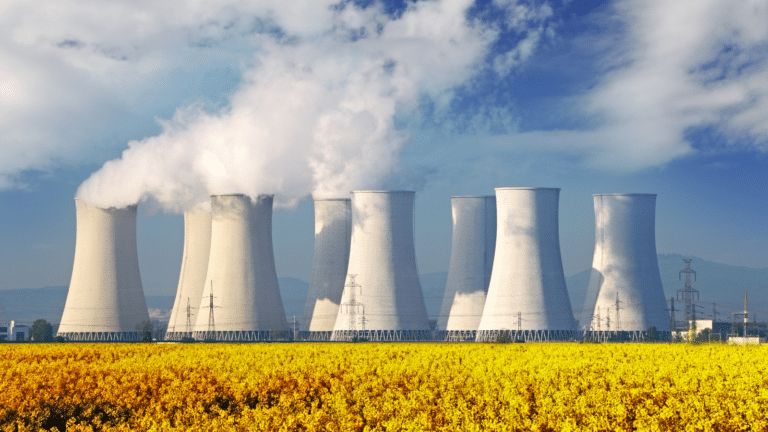 [Cancelled] Can Nuclear Power Be On Time and On Budget: A Discussion of Nuclear Power Construction