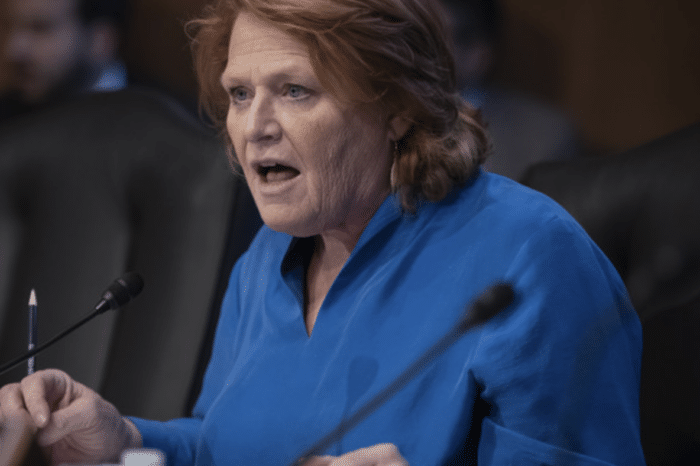 Task force to Congress: U.S. needs a mineral strategy