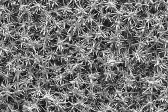 New material will almost double the rate of green hydrogen production from alkaline electrolysers, say researchers