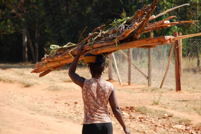 Invisible Women in Energy: Millions of Household Biomass Producers