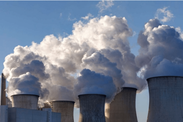 Design a carbon market that leverages Africa’s strengths