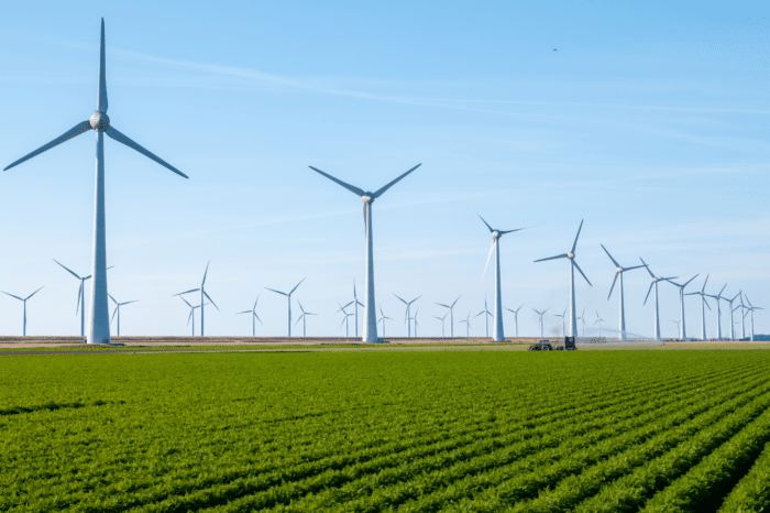 Bridging the Divide: Making Action on the Energy Transition a Reality