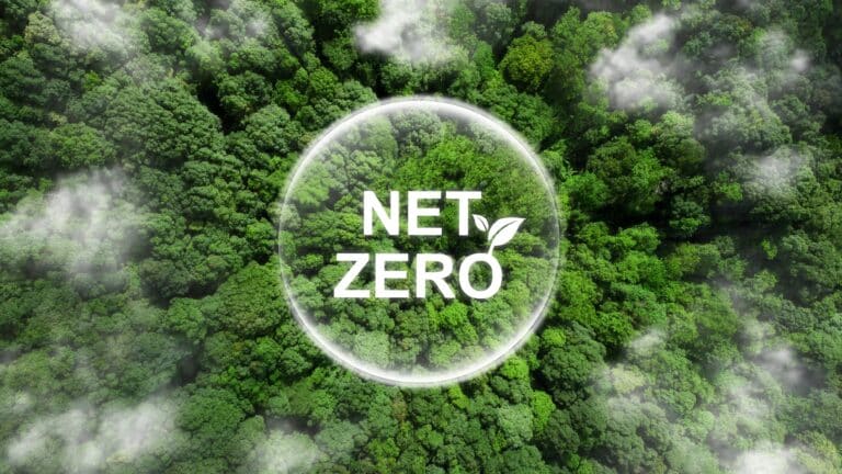 The Net-Zero Pathway Is as Important as the Net-Zero Date
