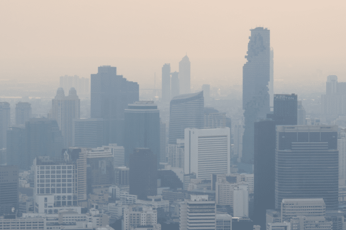 Air Pollution Disparities and Equality Assessments of US National Decarbonization Strategies