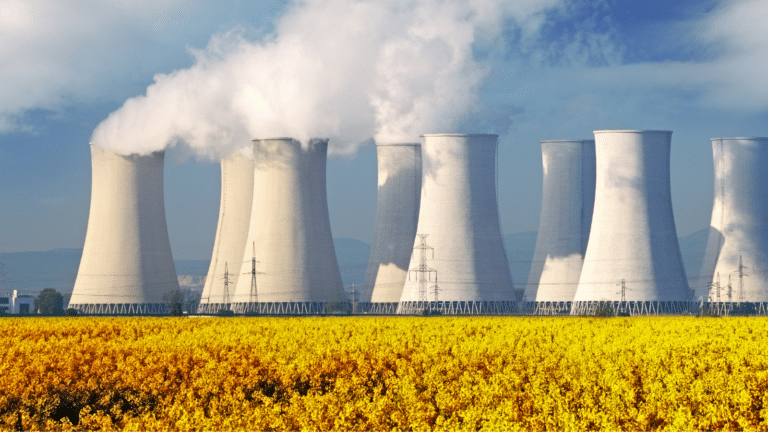 New Perspectives on a Changing Climate: Young Voices in Nuclear Energy