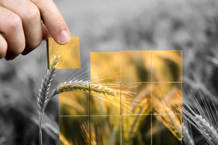 Toward Global Food Security with Low-Carbon Fertilizers