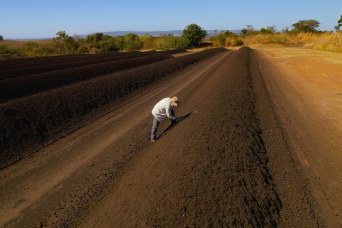 Fertilizer Woes at the Energy-Food Nexus