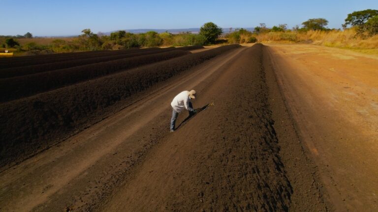 Fertilizer Woes at the Energy-Food Nexus