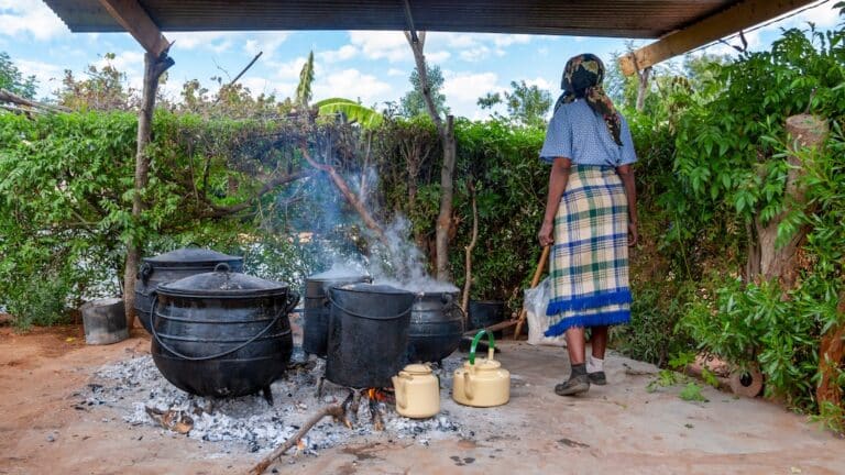 Estimating the Number of Women Household Biomass Producers, the Largest Segment of the Global Energy Labor Force