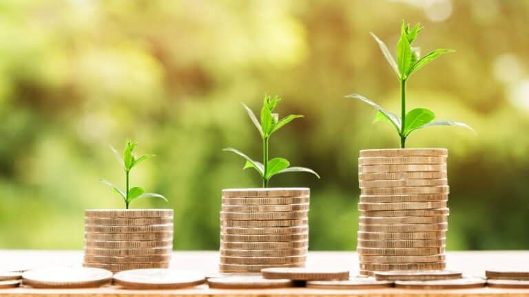Investment and Careers in the Climate Economy
