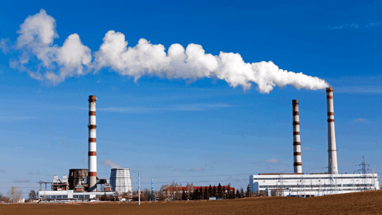 Global Perspectives on the Carbon Markets