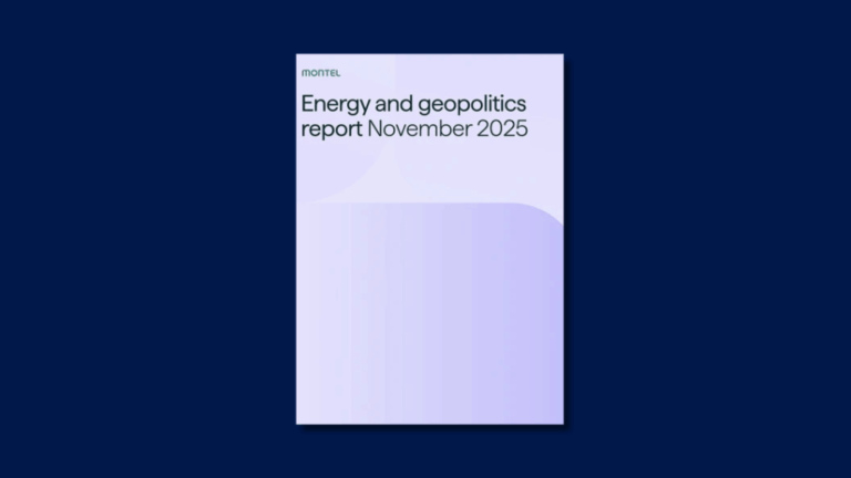 Europe’s Gas Security Needs a Reality Check