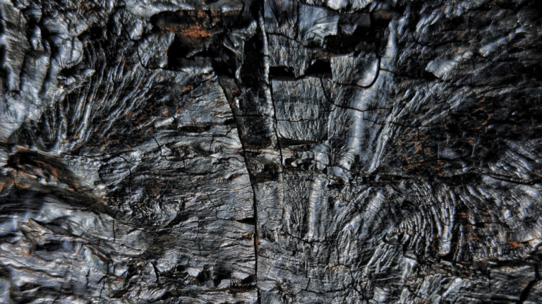 The Impacts of the Iran War on Coal