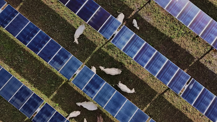 Why the Iran war might not spur a faster transition to low-carbon energy