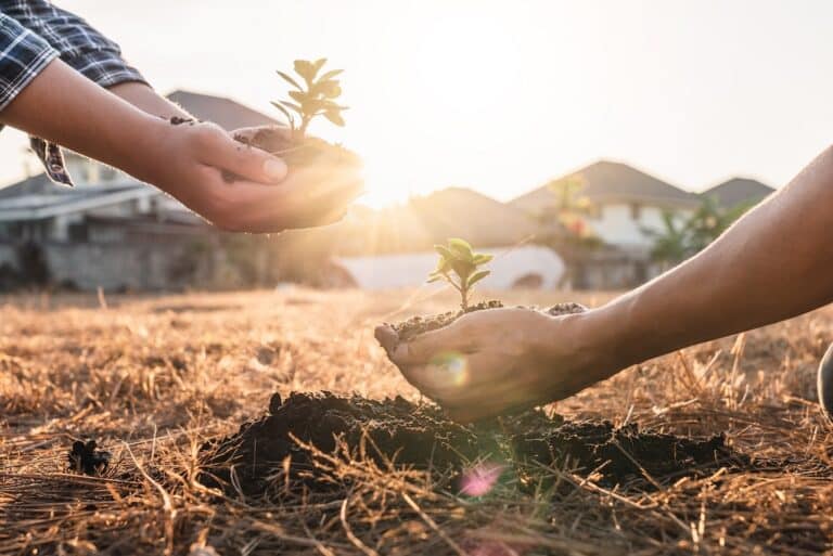 Center on Global Energy Policy Announces Sweeping New Analysis of 20 Countries’ Carbon Credit Markets