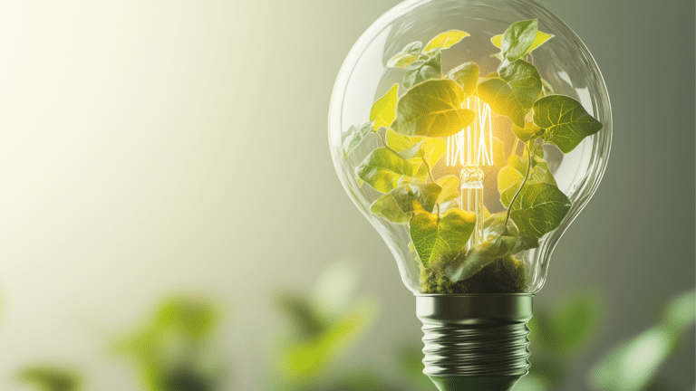 The Future of Climate Tech: Innovation, Careers, and Connections